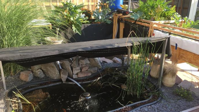 La création officielle de l’exploitation de Noémie Charpentier est effective depuis janvier 2019. Ici un gros plan sur les bassins. ©Noémie Charpentier